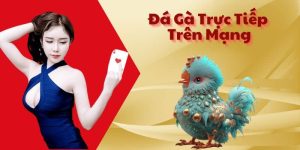 đá gà trực tiếp