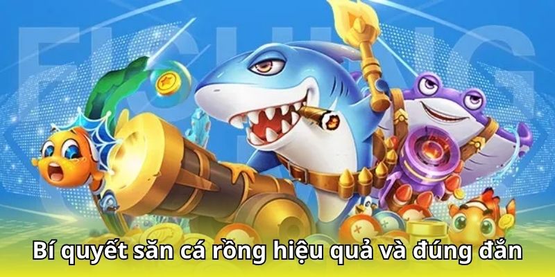 Bí quyết săn cá rồng sáng tạo, chính xác